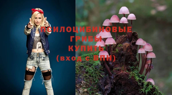 экстази Алексин