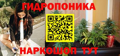 амф Краснознаменск