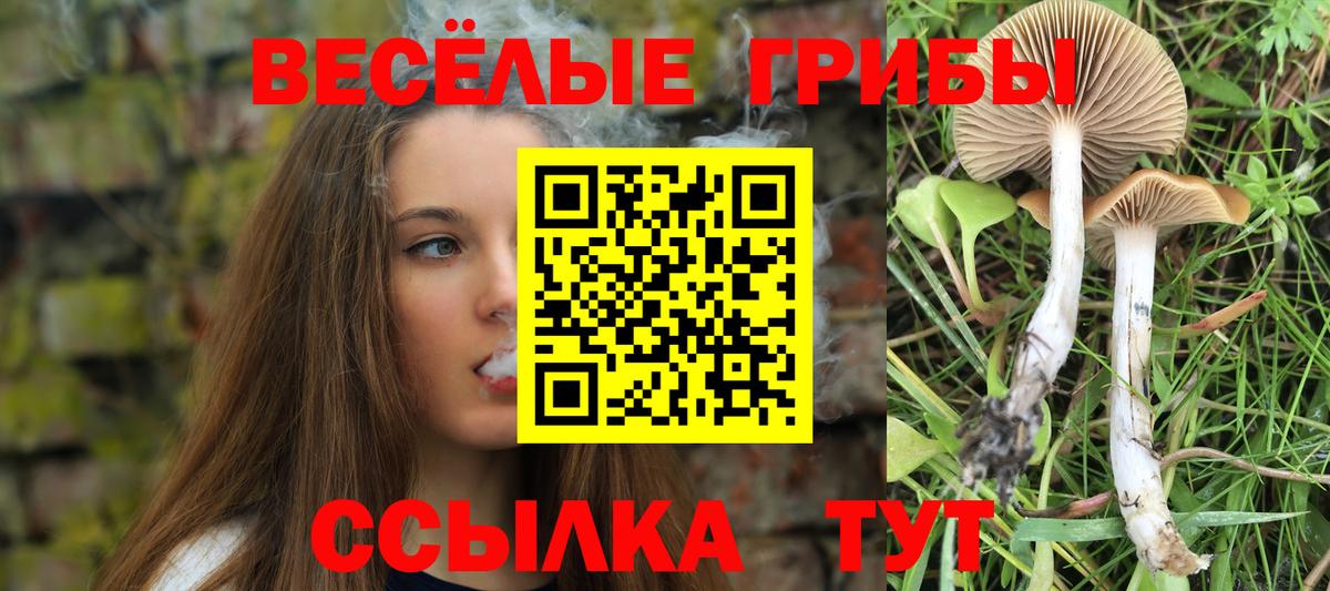 Дедовск  Галлюциногенные грибы MAGIC MUSHROOMS  Вход с VPN 
