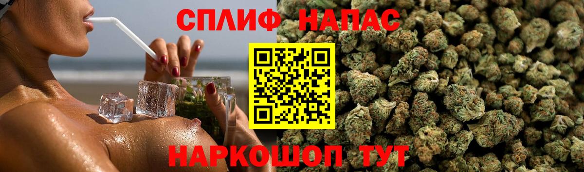 Бошки марихуана конопля Дедовск